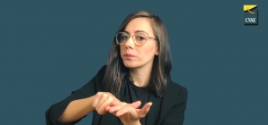 Webinario de CNSE con María Luz Esteban
