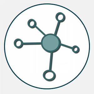 Formación de redes asociativas