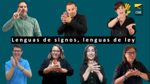 Consejo CNSE signando
